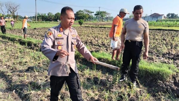 Polda Jateng Basmi Hama Tikus di Grobogan, Wujud Nyata Dukung Kedaulatan Pangan
