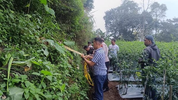 Kaget! Warga Getasan Semarang Dapati Benda Mirip Granat Saat Bersihkan Kebun Cabai