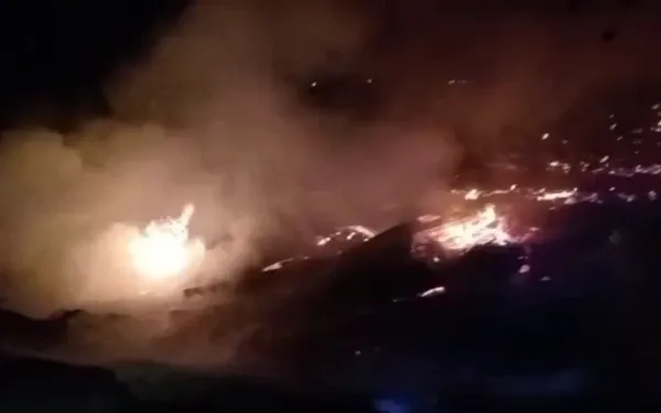 Diduga Korsleting Listrik, Kandang Ayam di Sragi Pekalongan Terbakar Tanpa Korban Jiwa