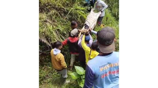 Kecelakaan Maut di Jalur Kaligua Brebes, Rem Blong, Pelajar SMK Tewas Masuk Jurang