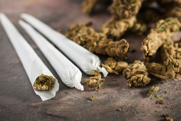 BNN Ringkus Dua Karyawan PT Pungkook Grobogan, Ditemukan 1 Kg Ganja