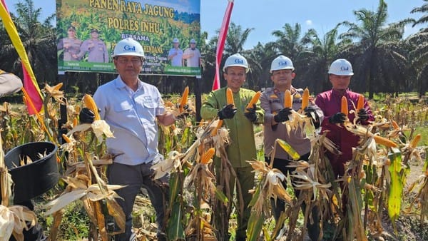 Dukung Ketahanan Pangan, Polres Indragiri Hulu Sukses Gelar Panen Raya Jagung