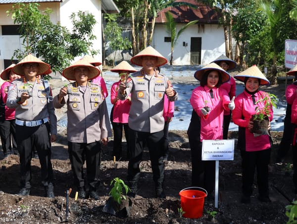 Dukung Ketahanan Pangan, Kapolda Kalteng dan Bhayangkari Panen Sayur di Lahan Pangan Lestari