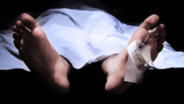 Pasutri yang Ditemukan di Tumpukan Batu Pemalang Tewas karena Diracun
