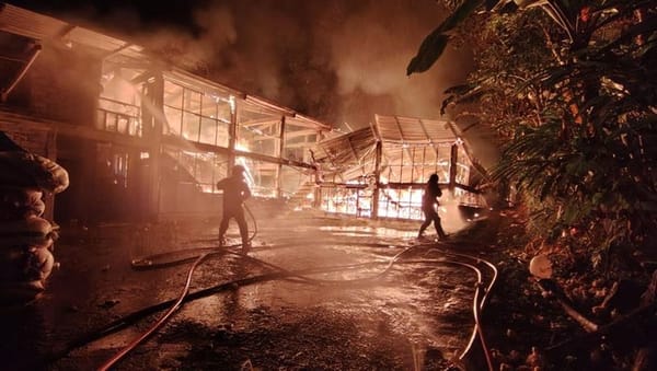 Kandang Isi 18 Ribu Ayam di Temanggung Terbakar Hanya 200 yang Selamat