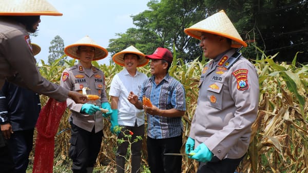 Panen Raya Jagung Serentak Kuartal III 2025 Digelar Polresta Malang Kota