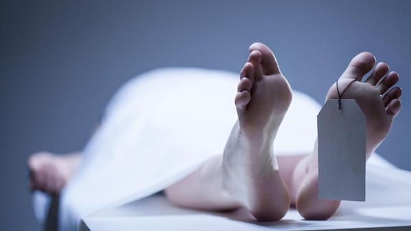 Warga Rembang Ditemukan Meninggal di Sawah Pati, Polisi Duga Tersengat Jebakan Tikus