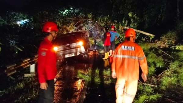Hujan Deras Dua Hari, Banyumas Dilanda Longsor dan Pohon Tumbang