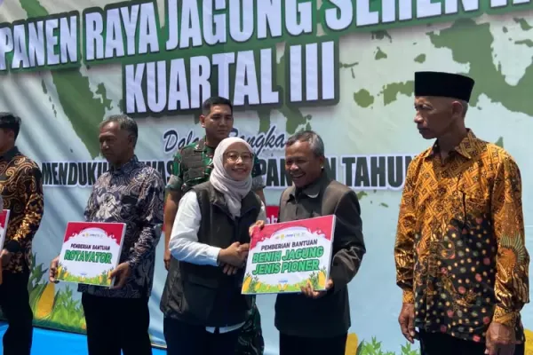 Bulog Bersama Polda Jateng Gelar Panen Raya Jagung untuk Perkuat Ketahanan Pangan