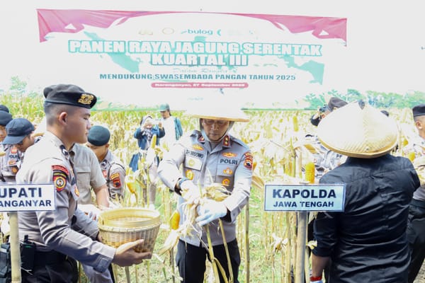 Panen Raya Jagung Kuartal III di Karanganyar Dihadiri Kapolda Jateng