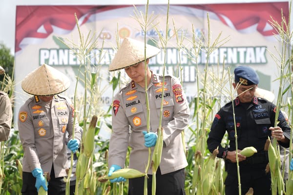Kapolda Bali Gelar Panen Raya Jagung Serentak Kuartal III Dukung Swasembada Pangan 2025