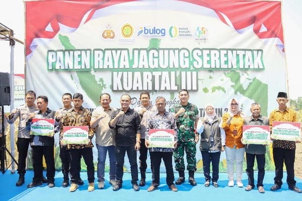 Sinergi Bulog dan Polda Jateng: Panen Raya Jagung Jadi Upaya Jaga Ketahanan Pangan