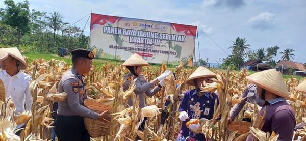 Panen Jagung 1,2 Ton, Polres Semarang Tegaskan Komitmen Swasembada Pangan
