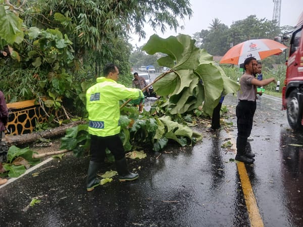 Polsek Jeruklegi Sigap Tangani Pohon Tumbang di Jalur Jeruklegi–Wangon