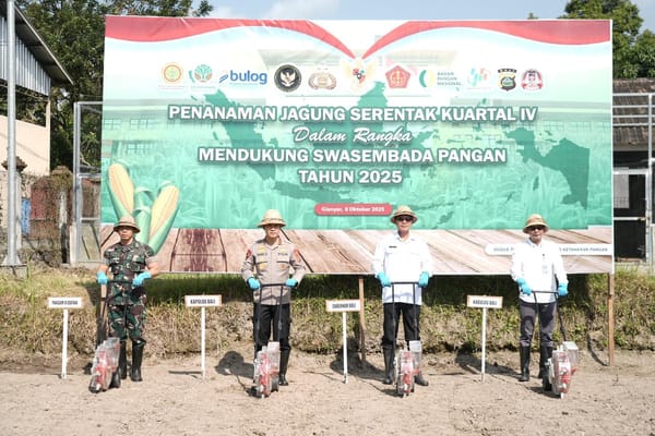 Dukung Program Ketahanan Pangan Pemerintah, Polda Bali Tanam Jagung di Gianyar