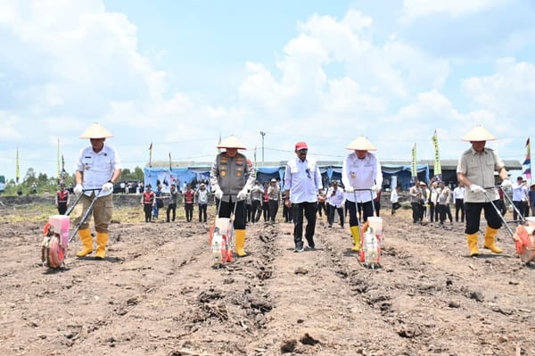 Tanam Jagung Kuartal IV, Polda Kalsel Optimis Panen 2 Kali Lipat dari Panen Sebelumnya
