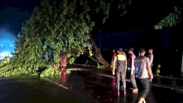 Empat Pohon dan Satu Papan Reklame Roboh di Demak Akibat Angin Kencang