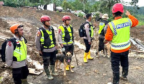 Anjing K9 Polres Wonogiri Bantu Pencarian Korban Longsor Banjarnegara
