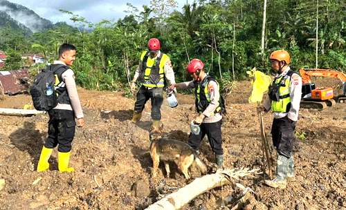 Upaya Pencarian Dihentikan, 11 Korban Longsor di Banjarnegara Belum Ditemukan