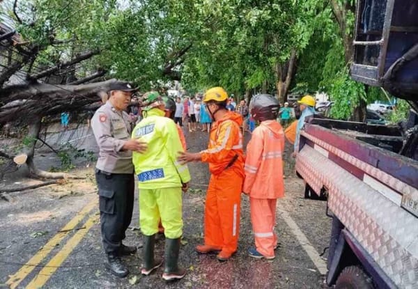 Puting Beliung Terjang Kota Malang, 14 Titik Pohon Tumbang dan Tiga Warga Terluka