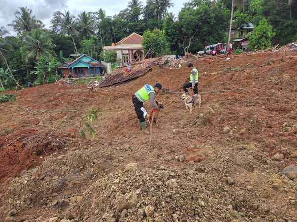 Anjing Pelacak Polda Jateng Turun ke Lokasi Longsor Cilacap untuk Bantu Pencarian