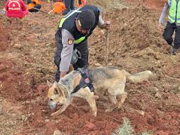 Anjing Pelacak Polda Jateng Dikerahkan Cari Korban Longsor di Cilacap