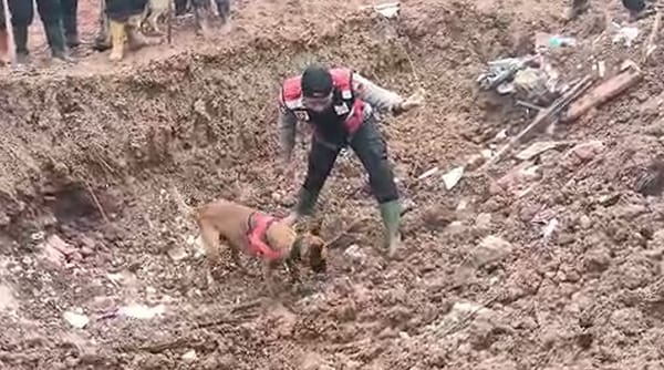 Polda Jateng Kerahkan 378 Personel dan Unit K9 untuk Cari Korban Longsor Banjarnegara