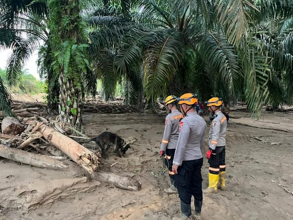 Polri Turunkan Tim K9 Ditpolsatwa untuk Percepat Pencarian Korban di Huta Raja