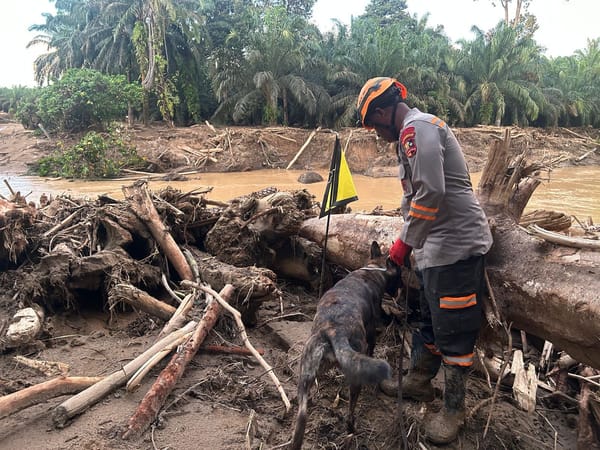 Anjing Pelacak K9 Bantu Proses Pencarian Korban di Sungai Huta Raja