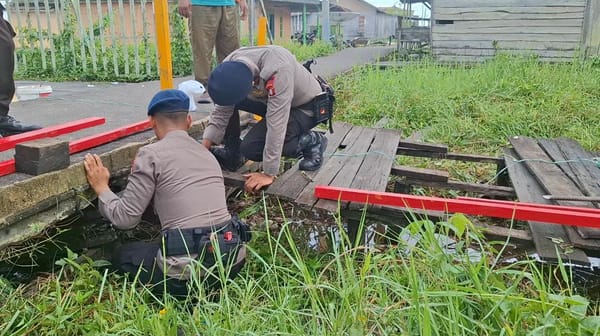 Brimob Kalteng Perbaiki Jembatan Rusak di SDN Tanjung Putri, Akses Siswa Kini Lebih Mudah