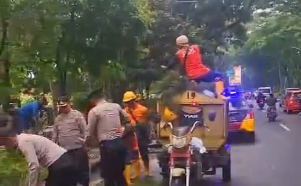 Tak Menunggu Lama! Polisi Malang Kota Sigap Evakuasi Pohon Tumbang, Lalin Langsung Normal Lagi