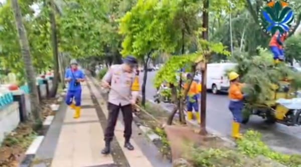 Tak Sampai 10 Menit! Polisi Malang Kota Amankan Lokasi Pohon Tumbang, Lalin Lancar Kembali