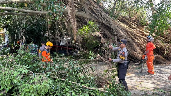 Polresta Malang Kota Evakuasi Pohon Beringin Besar yang Memutus Akses Jalan