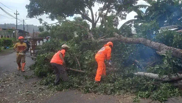 BMKG Ingatkan Potensi Angin Kencang di Cilacap hingga Akhir Pekan, Gelombang Tinggi Intai Nelayan