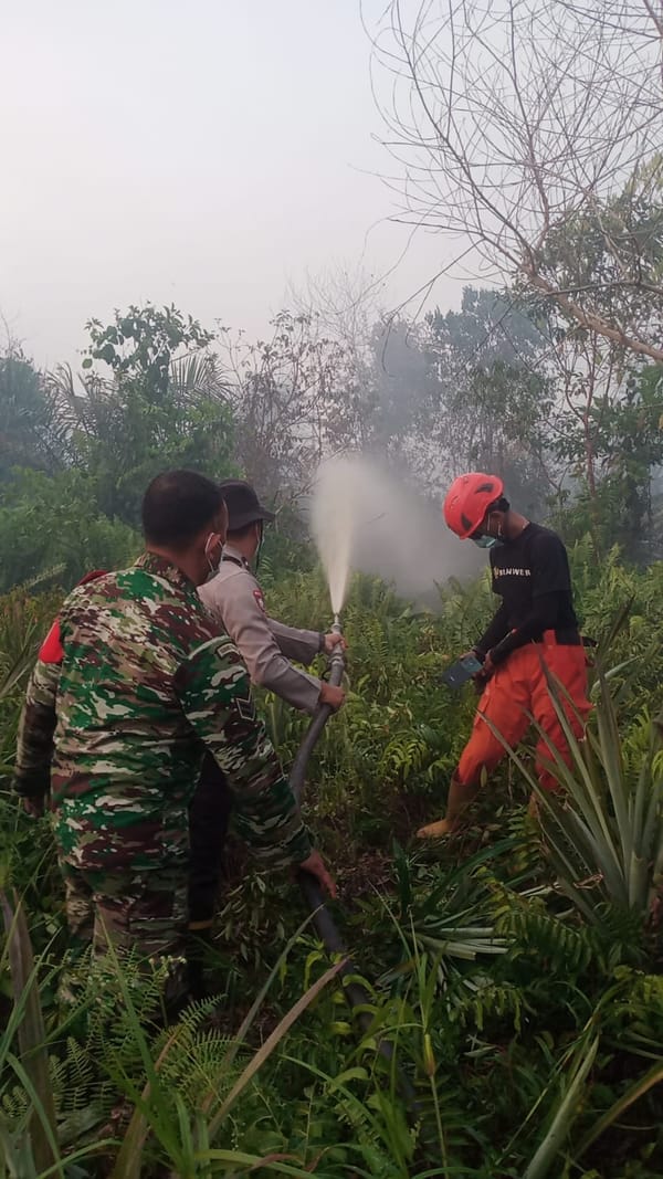 Kebakaran Lahan di Gang Flora, Polisi Ungkap Sulitnya Pemadaman Akibat Angin Kencang
