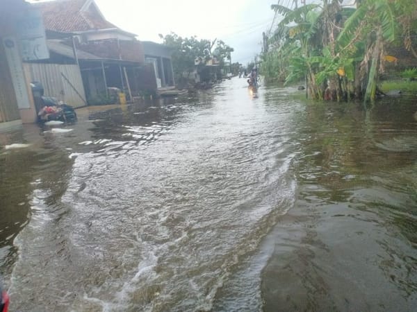 Empat Kecamatan di Demak Terendam Banjir Akibat Hujan Deras