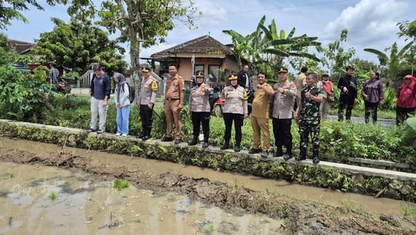 Dukung Program Pemerintah, Polda Jateng Kembangkan Padi Japonica Tarabas