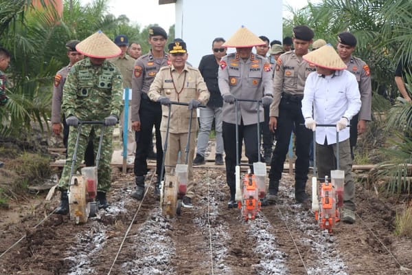 Wujudkan Ketahanan Pangan, Polda Kalteng Gandeng PT MKM Tanam Jagung di Lahan Sawit