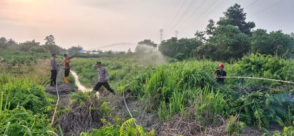 Sepekan Tak Diguyur Hujan, Karhutla Kembali Berkobar, Polsek Pontianak Utara Siagakan Personel