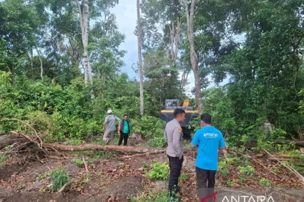 Ditreskrimsus Polda Babel Bongkar Tambang Ilegal di Hutan Produksi, Excavator Disita