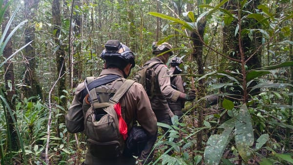 Satgas Damai Cartenz 2026 Gencarkan Patroli Taktis dan Penyisiran Wilayah di Yahukimo