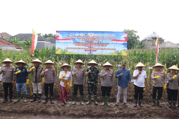 Wakapolda Bali Pimpin Panen Raya Jagung Serentak di Buleleng, Petani Tetap Jadi Pelaku Utama