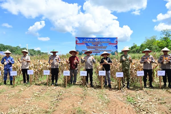 Panen 4 Ton Jagung, Polda Kalsel di Bati-Bati Tanah Laut