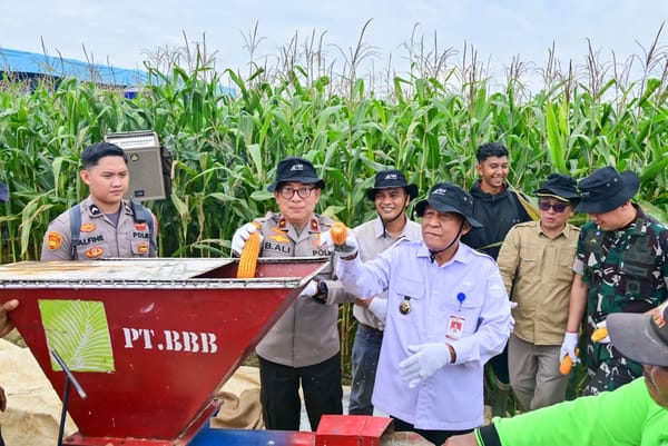 Polda Jambi Gelar Panen Raya Jagung Serentak Kuartal II 2026, Dukung Program Ketahanan Pangan Nasional