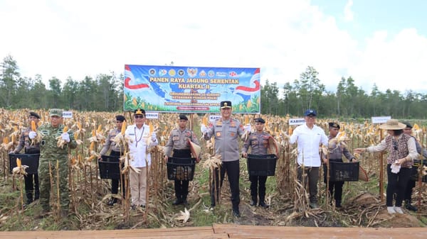 Dukung Ketahanan Pangan Nasional, Kapolda Kalteng Bersama Forkopimda Gelar Panen Raya Jagung Kuartal II di Rakumpit