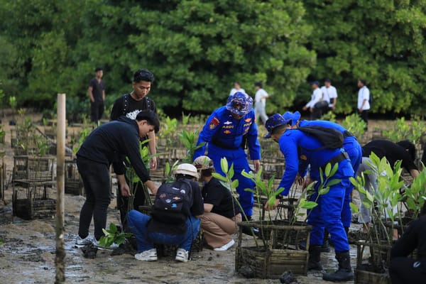 Aksi Sosial Penanaman 1.000 Mangrove Di Pulau Pudut, Tanjung Benoa