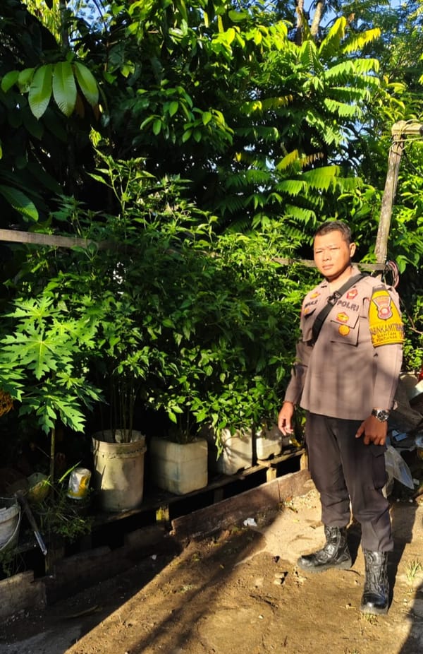 Dukung Ketahanan Pangan, Bhabinkamtibmas Siantan Hulu Ajak Warga Tanam Sayuran di Pekarangan Rumah