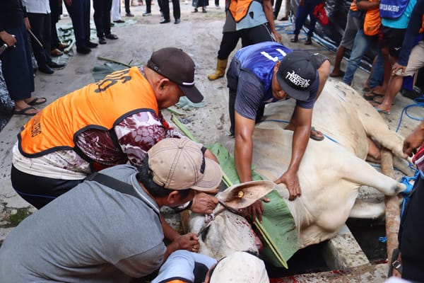 Kapolda Kalteng: Penyembelihan 246 Hewan Kurban Bentuk Kepedulian Polri kepada Warga