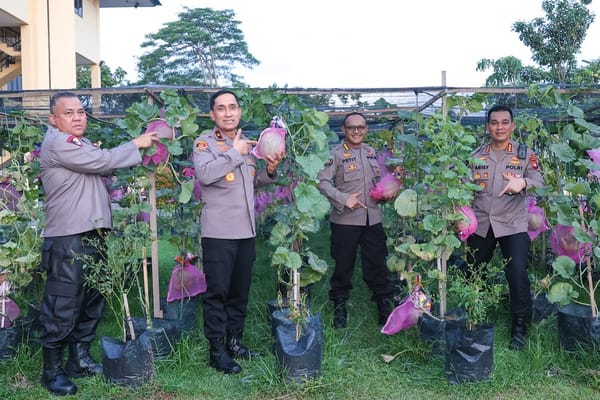 Polda Kalbar Inisiasi Budidaya Melon: Langkah Nyata Wujudkan Ketahanan Pangan Nasional