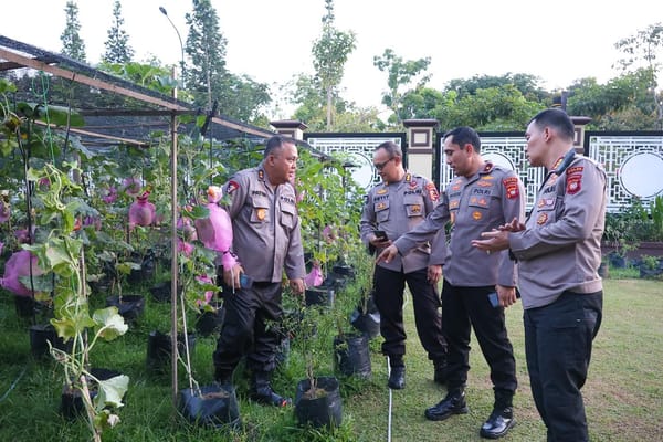 Dukung Ketahanan Pangan Nasional, Polda Kalbar Kembangkan Program Budidaya Melon